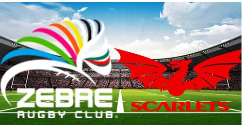 Zebre vs Scarlets Rugby Full Match Replay 17 May 2024 United Rugby Championship